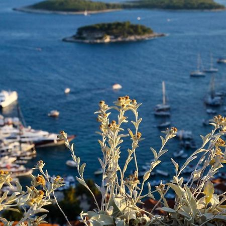 Feelhvar Along Bluelagoon Beach Hvar Town Dış mekan fotoğraf