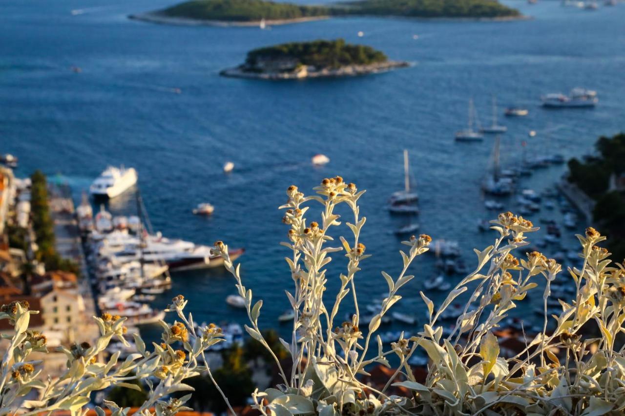 Feelhvar Along Bluelagoon Beach Hvar Town Dış mekan fotoğraf